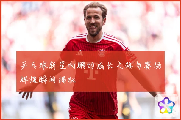 乒乓球新星向鹏的成长之路与赛场辉煌瞬间揭秘