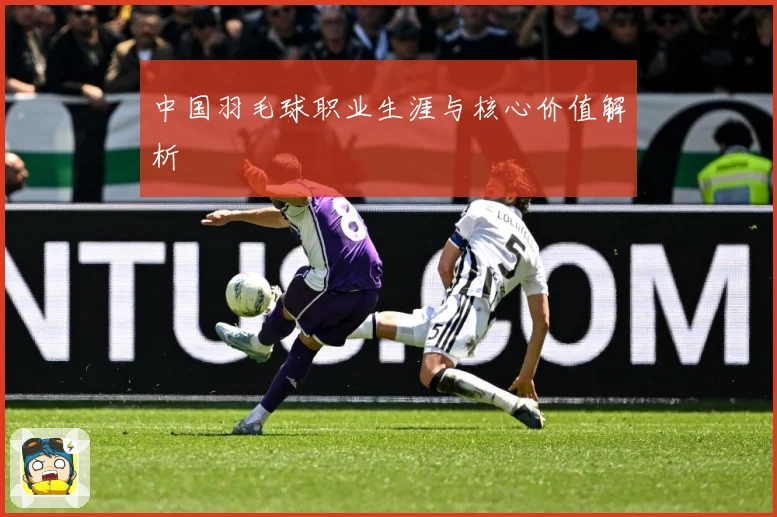 中国羽毛球职业生涯与核心价值解析