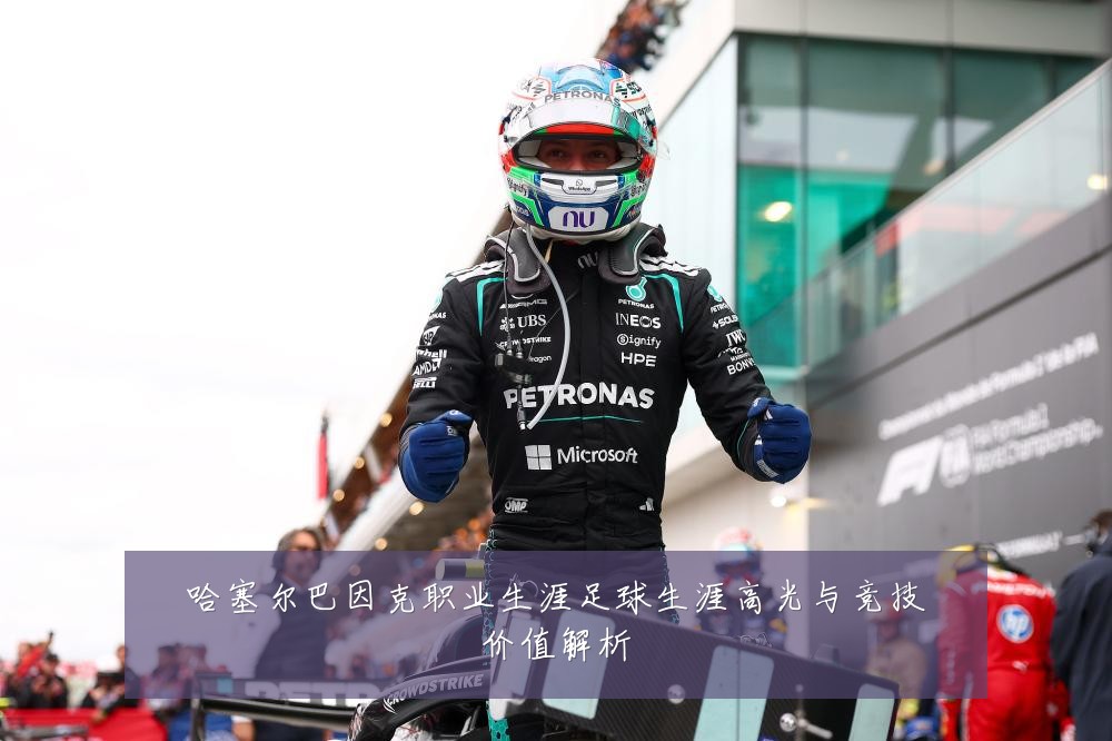 哈塞尔巴因克职业生涯足球生涯高光与竞技价值解析