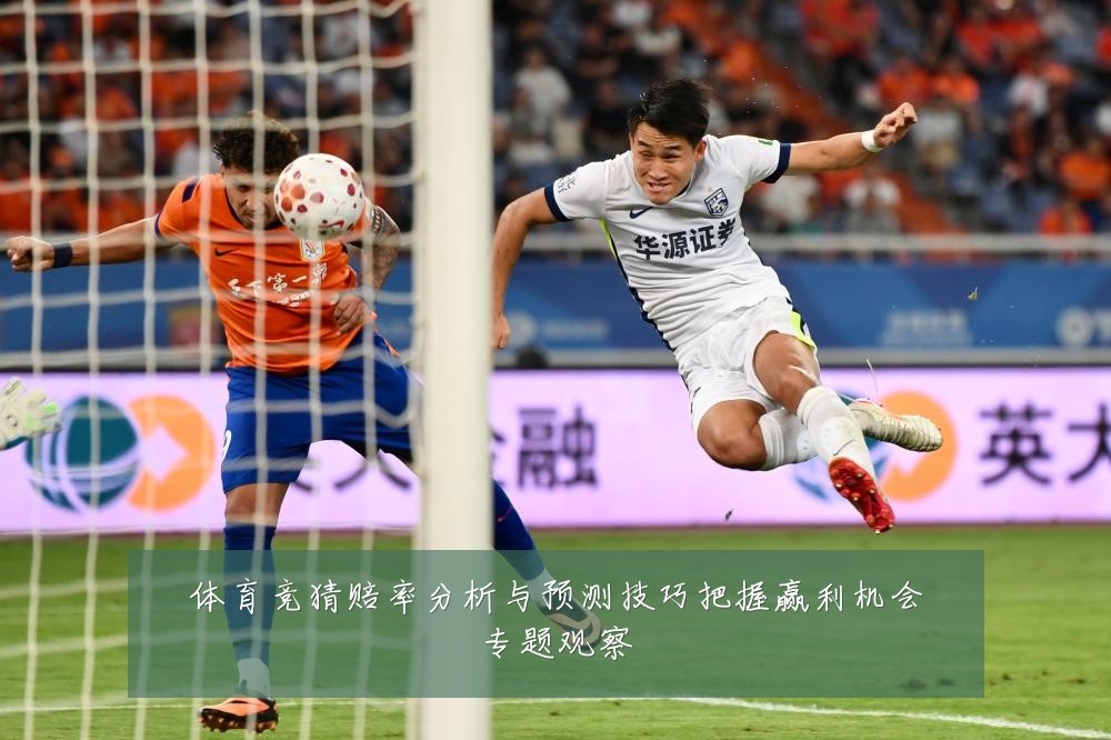体育竞猜赔率分析与预测技巧把握赢利机会专题观察