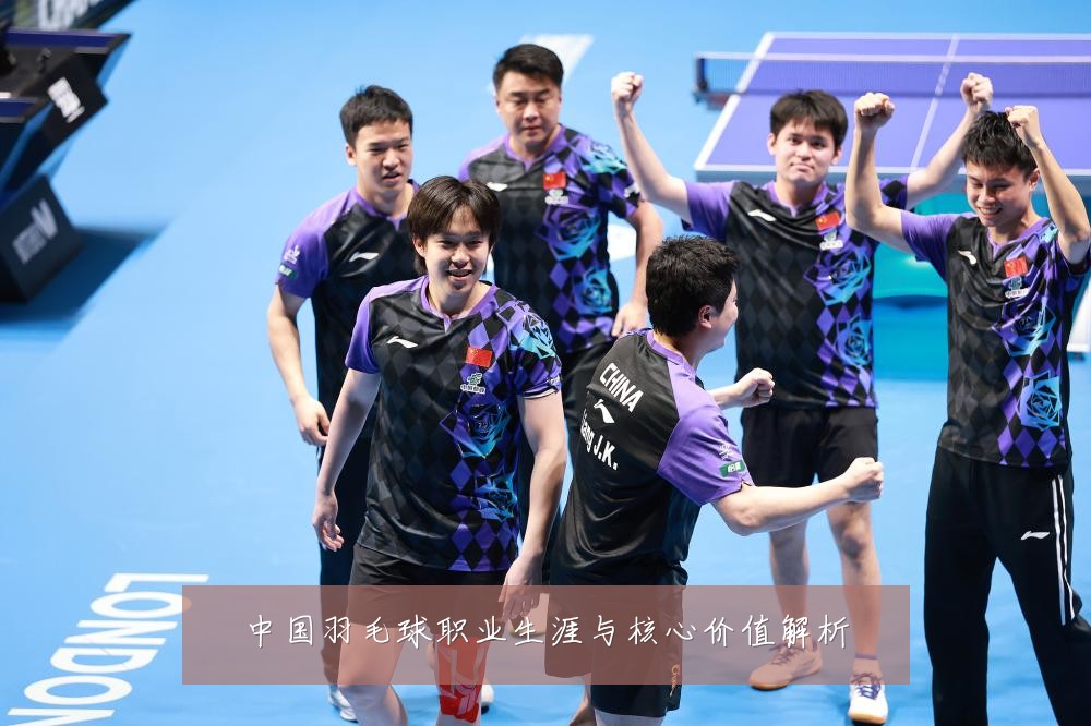 中国羽毛球职业生涯与核心价值解析